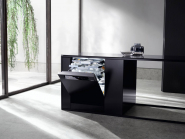 Einbau Geschirrspüler